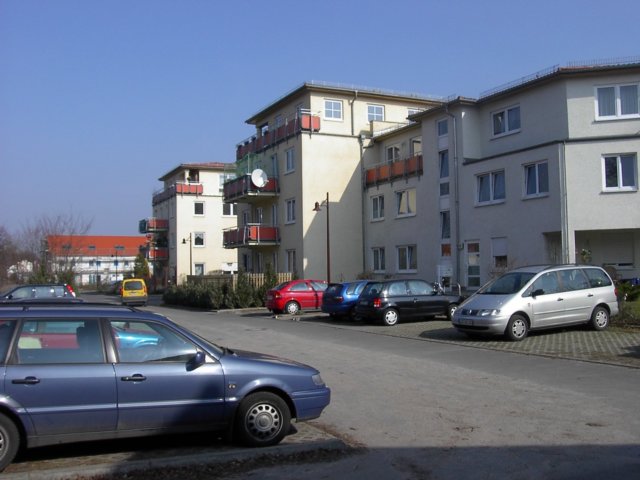 shsgroziehten2.jpg