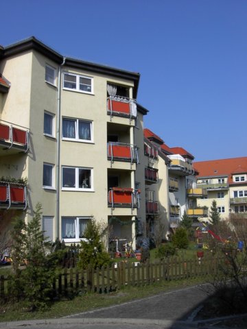 shsgroziehten5.jpg