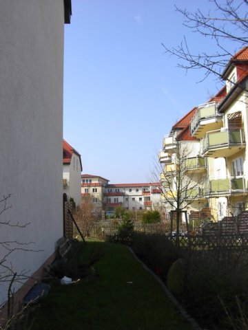 shsgroziehten9.jpg